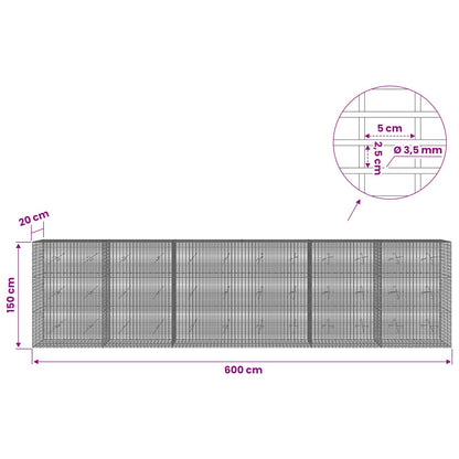 Gabion with 3.5 mm Wire and 5x2.5 cm Mesh 600x20x150 cm