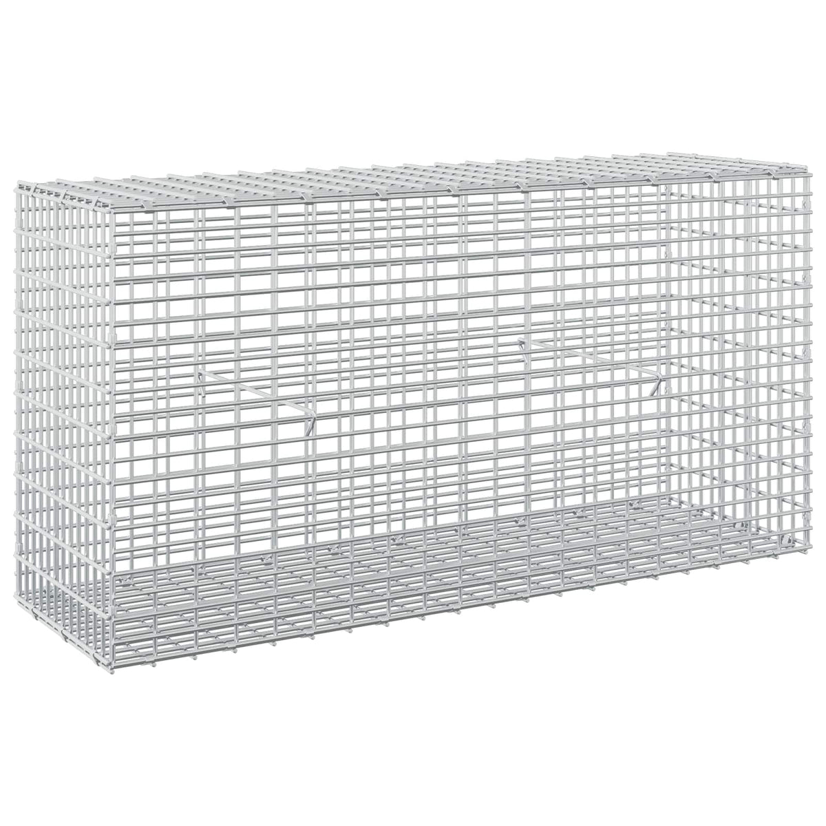 Gabion with 3.5 mm Wire and 5x2.5 cm Mesh 100x30x50 cm