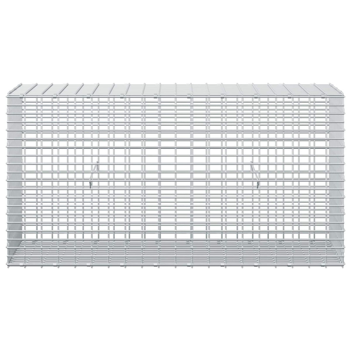 Gabion with 3.5 mm Wire and 5x2.5 cm Mesh 100x30x50 cm