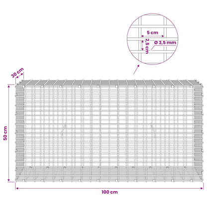 Gabion with 3.5 mm Wire and 5x2.5 cm Mesh 100x30x50 cm