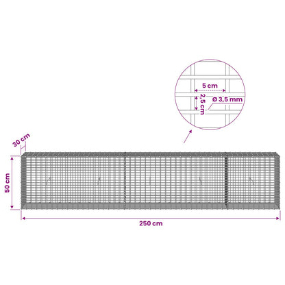Gabion with 3.5 mm Wire and 5x2.5 cm Mesh 250x30x50 cm
