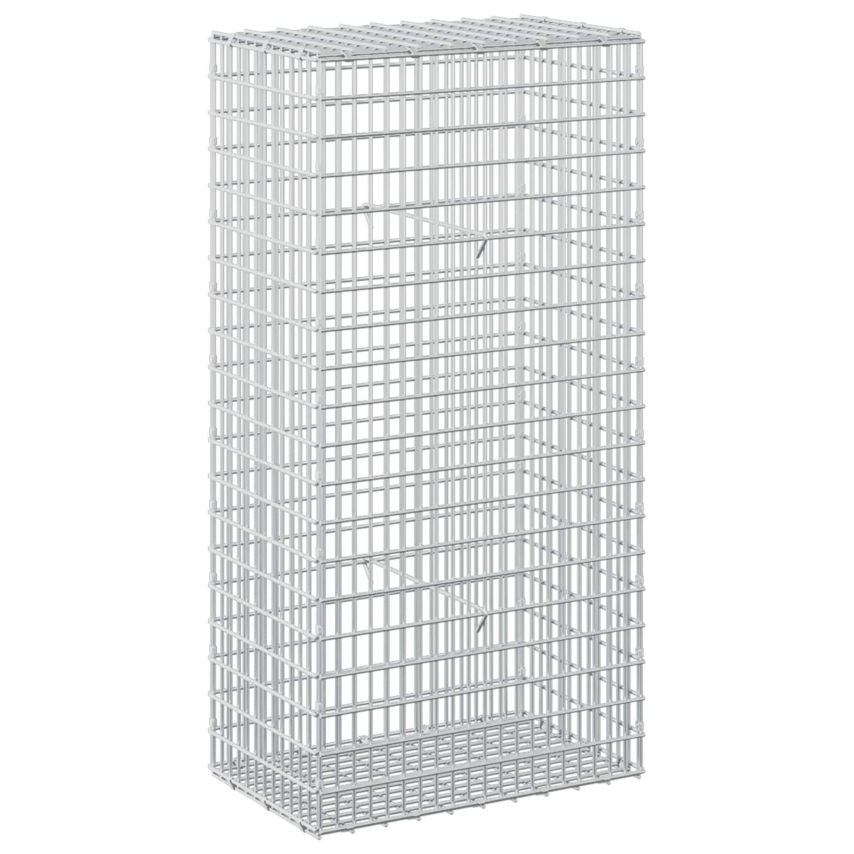 Gabion with 3.5 mm Wire and 5x2.5 cm Mesh 50x30x100 cm
