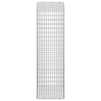 Gabion with 3.5 mm Wire and 5x2.5 cm Mesh 50x30x100 cm