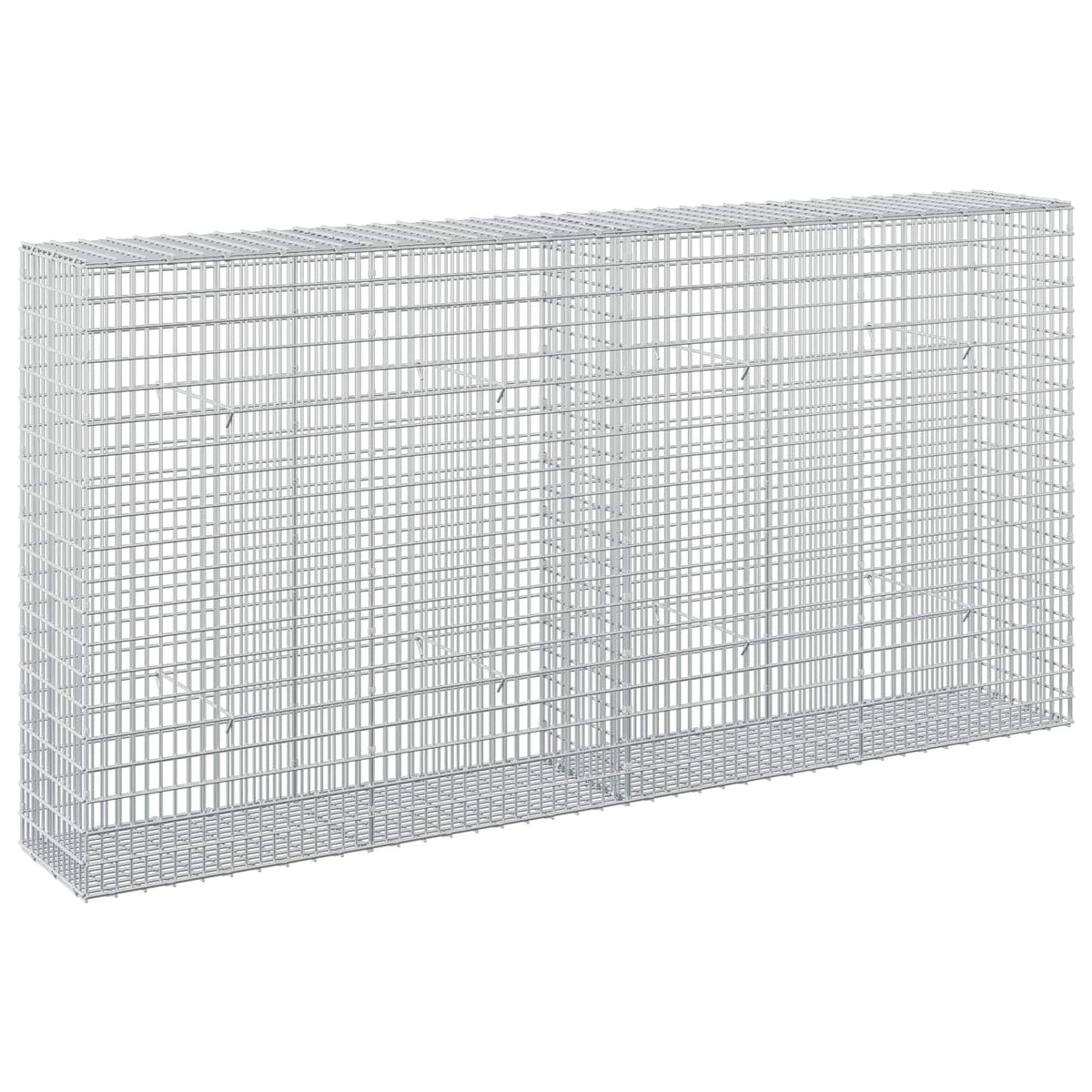 Gabion with 3.5 mm Wire and 5x2.5 cm Mesh 200x30x100 cm