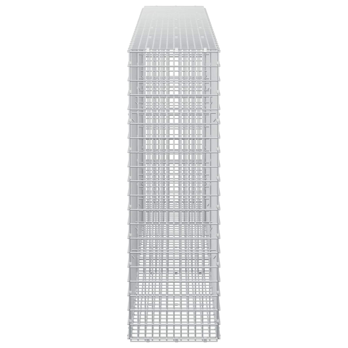 Gabion with 3.5 mm Wire and 5x2.5 cm Mesh 250x30x100 cm