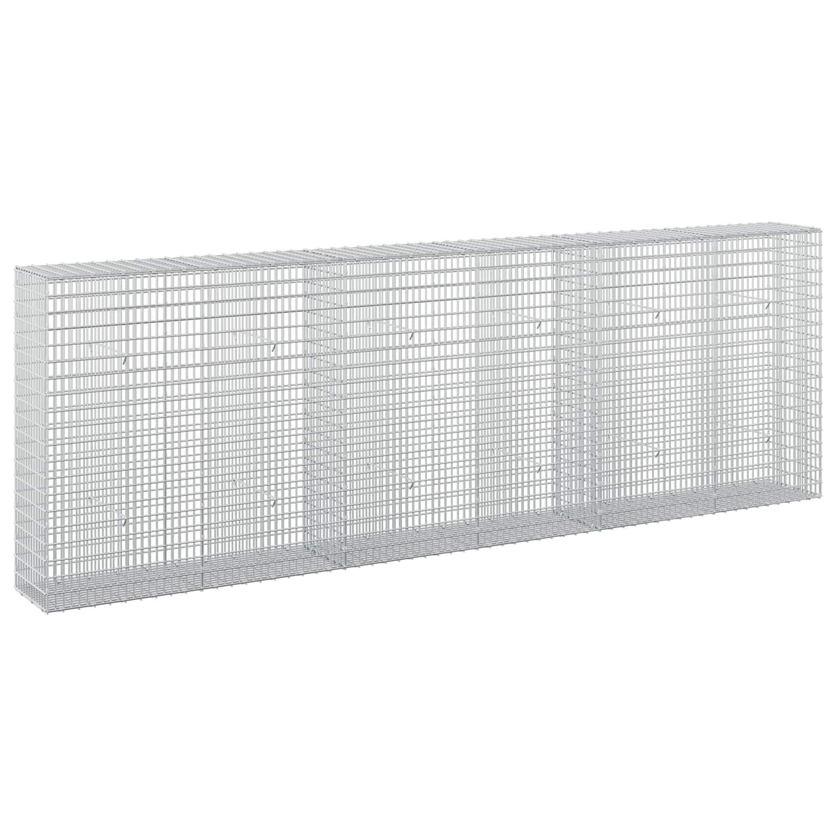 Gabion with 3.5 mm Wire and 5x2.5 cm Mesh 300x30x100 cm