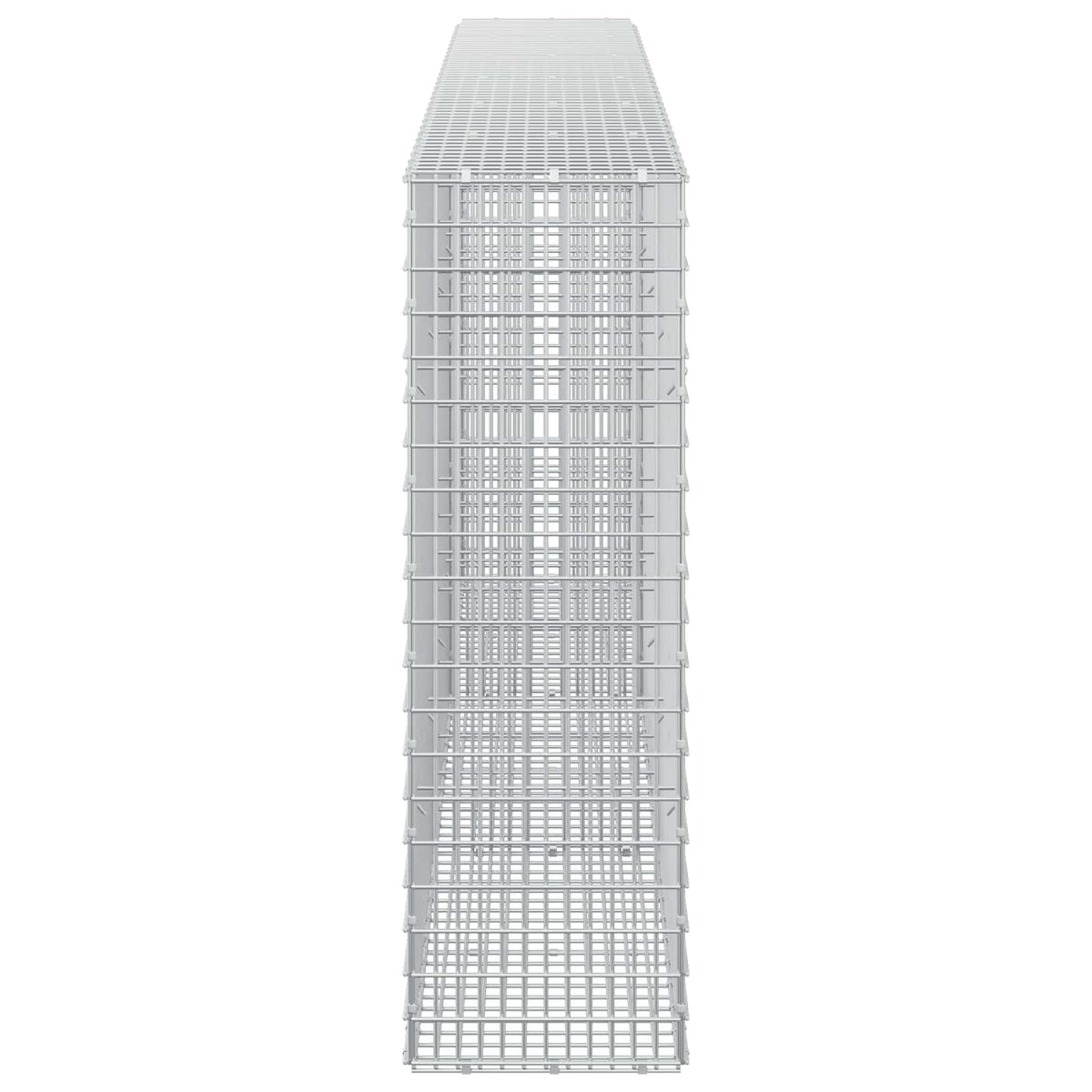 Gabion with 3.5 mm Wire and 5x2.5 cm Mesh 300x30x100 cm