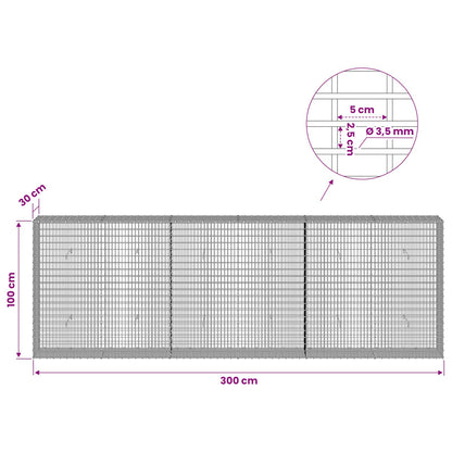 Gabion with 3.5 mm Wire and 5x2.5 cm Mesh 300x30x100 cm