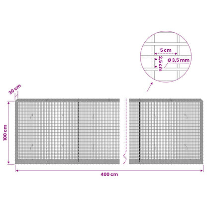 Gabion with 3.5 mm Wire and 5x2.5 cm Mesh 400x30x100 cm