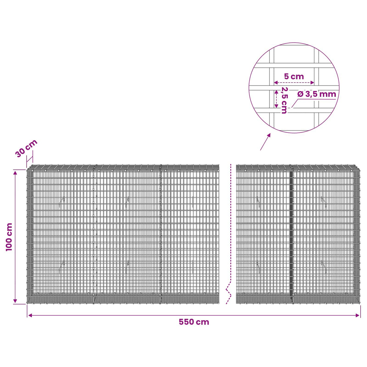 Gabion with 3.5 mm Wire and 5x2.5 cm Mesh 550x30x100 cm