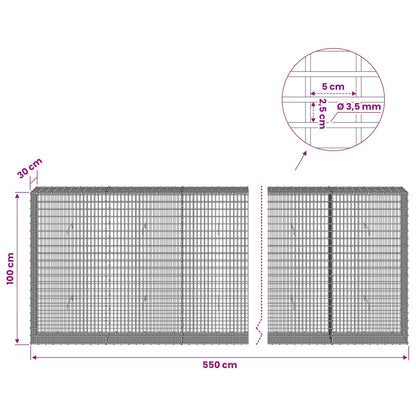 Gabion with 3.5 mm Wire and 5x2.5 cm Mesh 550x30x100 cm