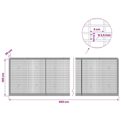 Gabion with 3.5 mm Wire and 5x2.5 cm Mesh 600x30x100 cm