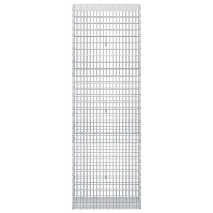 Gabion with 3.5 mm Wire and 5x2.5 cm Mesh 50x30x150 cm