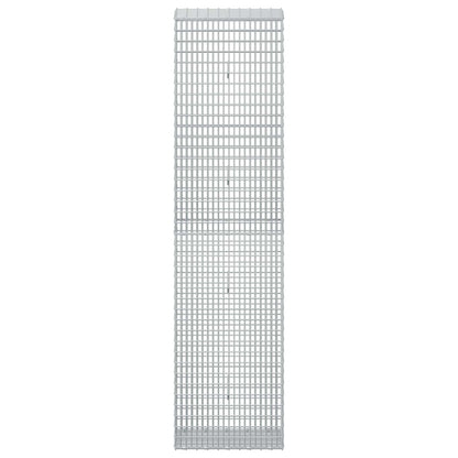 Gabion with 3.5 mm Wire and 5x2.5 cm Mesh 50x30x200 cm