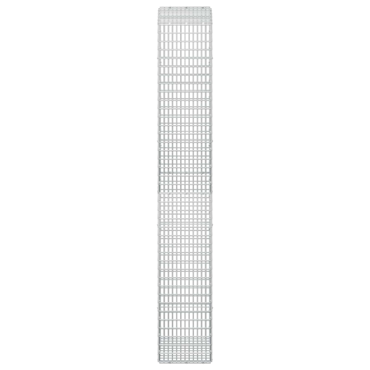 Gabion with 3.5 mm Wire and 5x2.5 cm Mesh 50x30x200 cm
