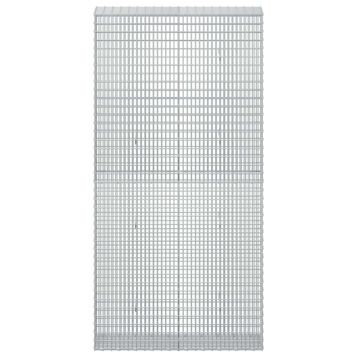 Gabion with 3.5 mm Wire and 5x2.5 cm Mesh 100x30x200 cm