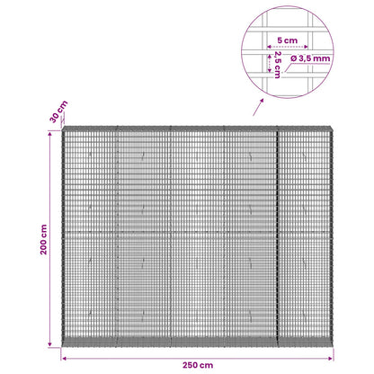 Gabion with 3.5 mm Wire and 5x2.5 cm Mesh 250x30x200 cm
