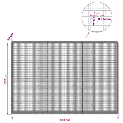 Gabion with 3.5 mm Wire and 5x2.5 cm Mesh 300x30x200 cm