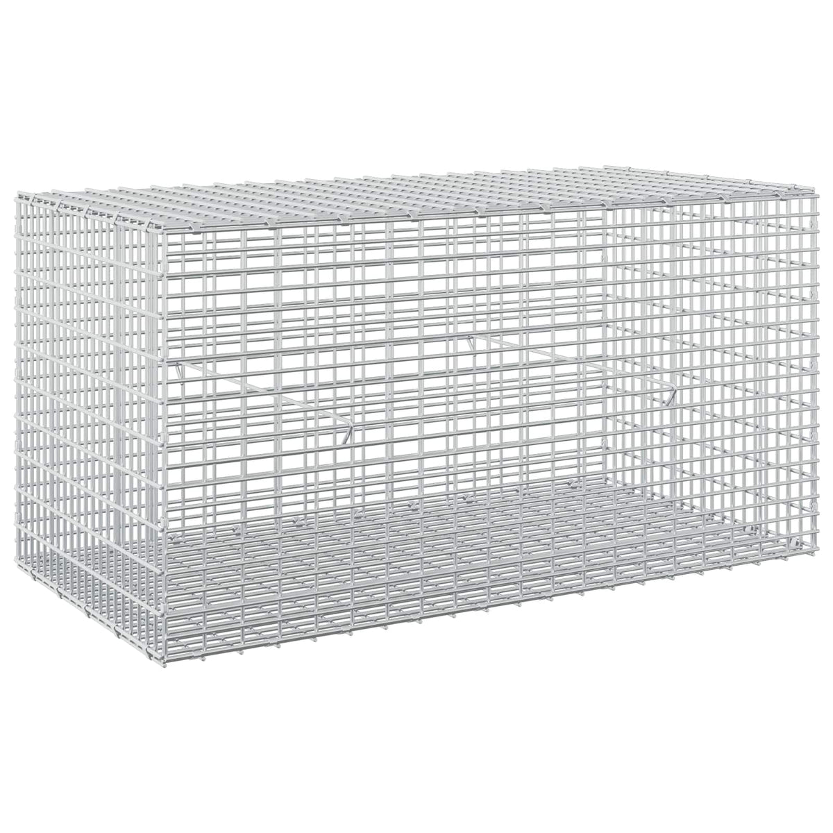 Gabion with 3.5 mm Wire and 5x2.5 cm Mesh 100x50x50 cm