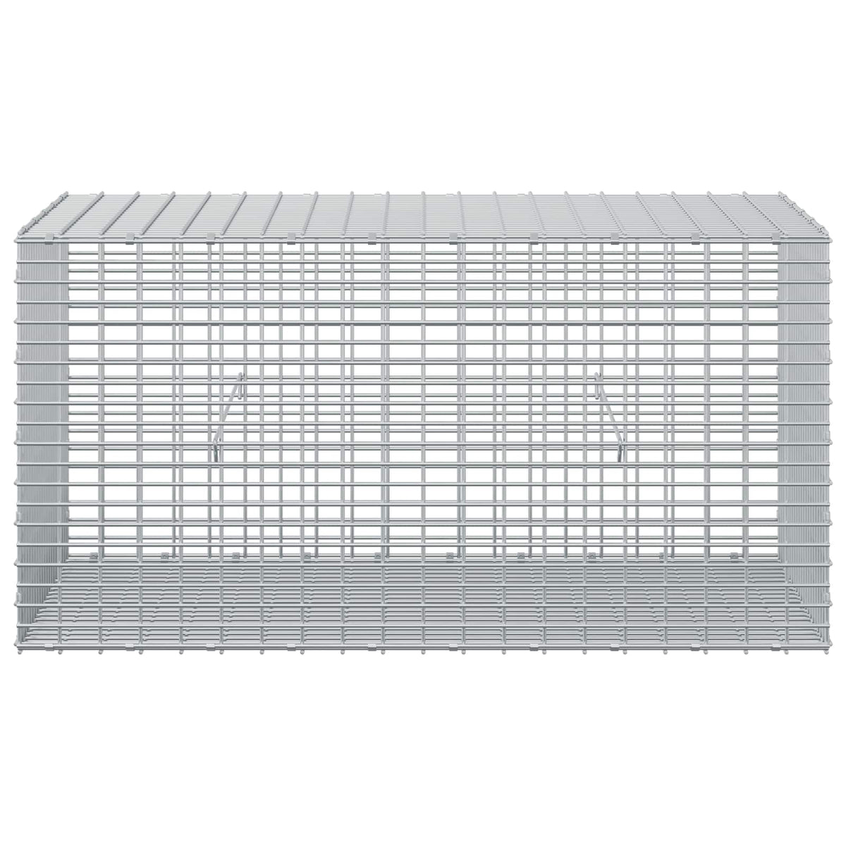Gabion with 3.5 mm Wire and 5x2.5 cm Mesh 100x50x50 cm