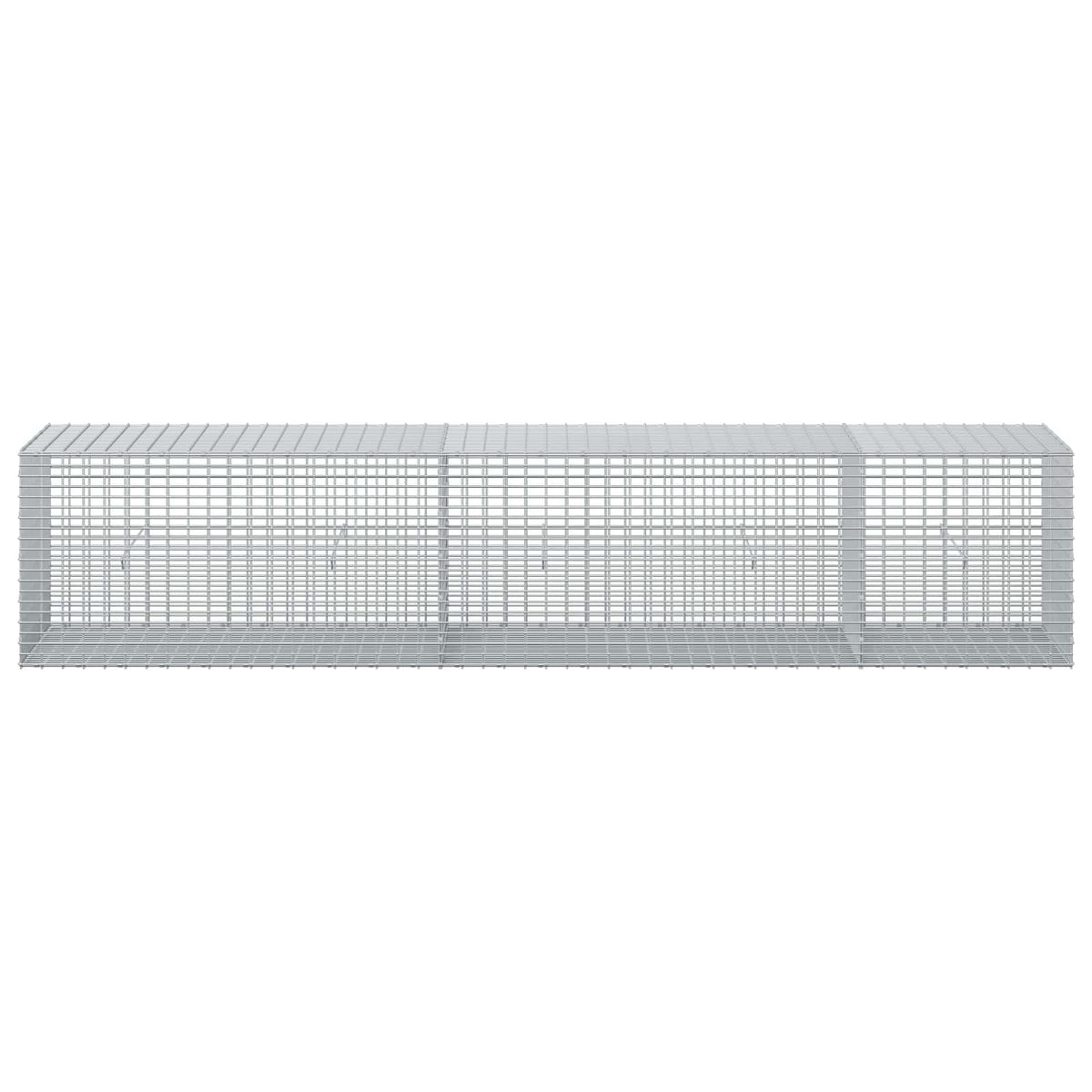Gabion with 3.5 mm Wire and 5x2.5 cm Mesh 250x50x50 cm