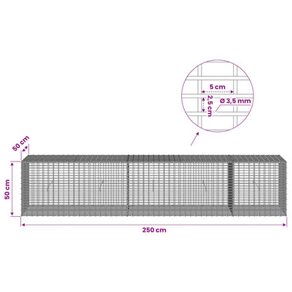 Gabion with 3.5 mm Wire and 5x2.5 cm Mesh 250x50x50 cm