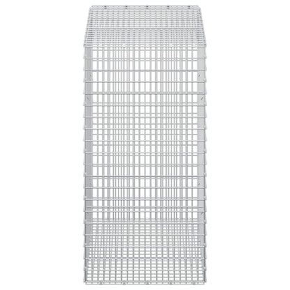 Gabion with 3.5 mm Wire and 5x2.5 cm Mesh 100x50x100 cm