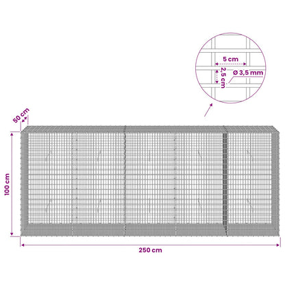 Gabion with 3.5 mm Wire and 5x2.5 cm Mesh 250x50x100 cm