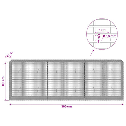 Gabion with 3.5 mm Wire and 5x2.5 cm Mesh 300x50x100 cm