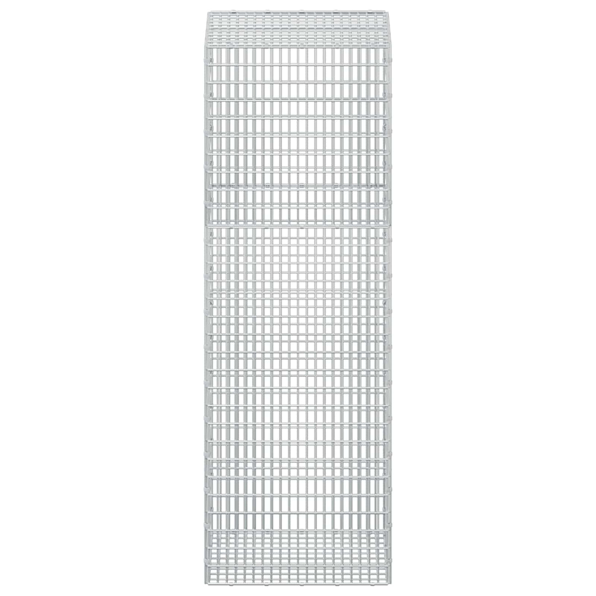 Gabion with 3.5 mm Wire and 5x2.5 cm Mesh 50x50x150 cm