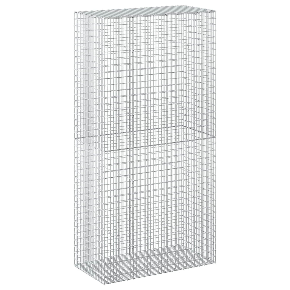 Gabion with 3.5 mm Wire and 5x2.5 cm Mesh 100x50x200 cm