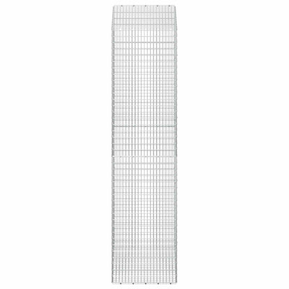 Gabion with 3.5 mm Wire and 5x2.5 cm Mesh 100x50x200 cm