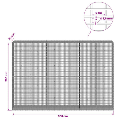 Gabion with 3.5 mm Wire and 5x2.5 cm Mesh 300x50x200 cm
