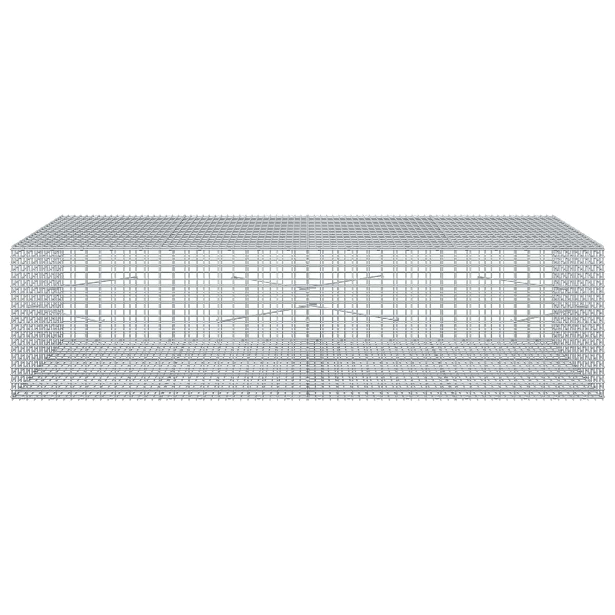 Gabion with 3.5 mm Wire and 5x2.5 cm Mesh 200x100x50 cm