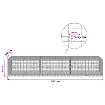 Gabion with 3.5 mm Wire and 5x2.5 cm Mesh 300x100x50 cm
