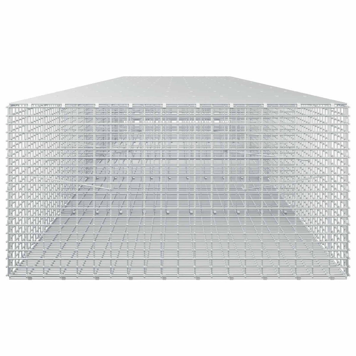 Gabion with 3.5 mm Wire and 5x2.5 cm Mesh 500x100x50 cm