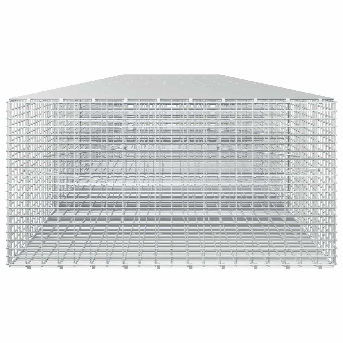Gabion with 3.5 mm Wire and 5x2.5 cm Mesh 600x100x50 cm