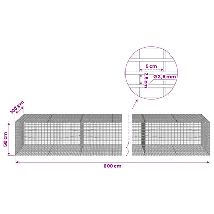 Gabion with 3.5 mm Wire and 5x2.5 cm Mesh 600x100x50 cm
