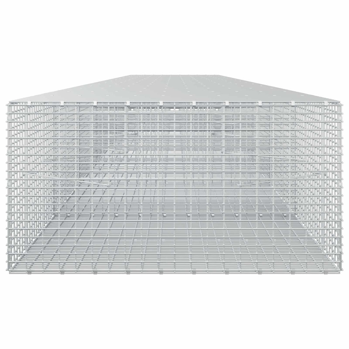 Gabion with 3.5 mm Wire and 5x2.5 cm Mesh 750x100x50 cm