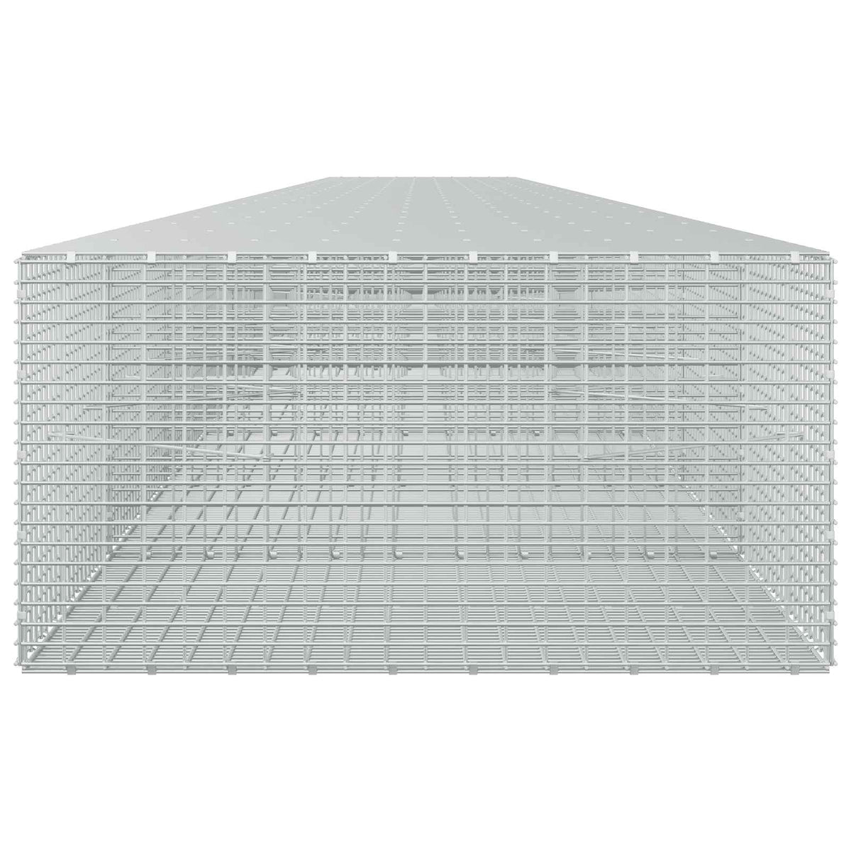 Gabion with 3.5 mm Wire and 5x2.5 cm Mesh 1200x100x50 cm
