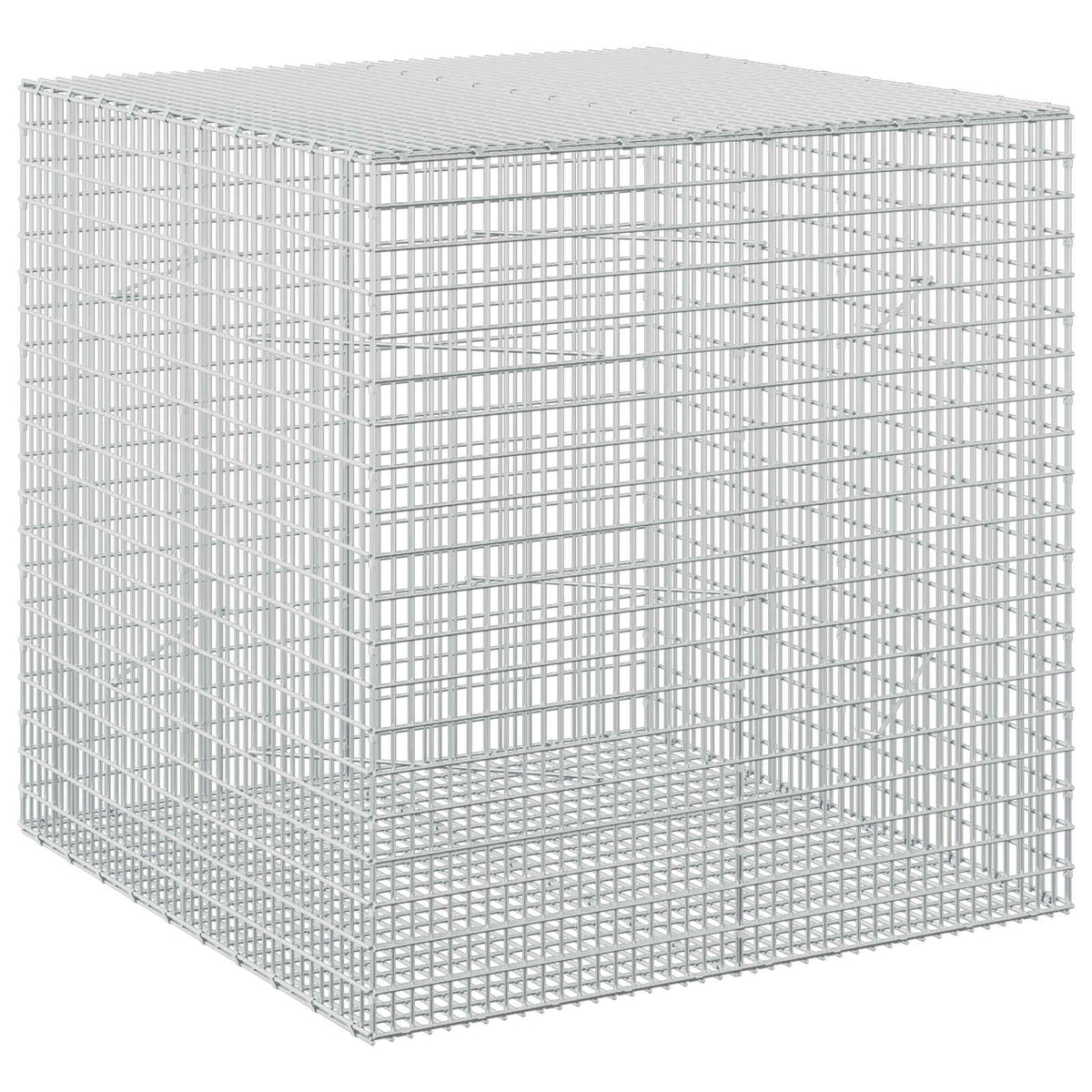 Gabion with 3.5 mm Wire and 5x2.5 cm Mesh 100x100x100 cm