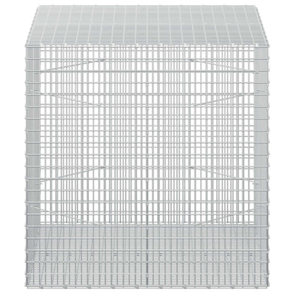 Gabion with 3.5 mm Wire and 5x2.5 cm Mesh 100x100x100 cm