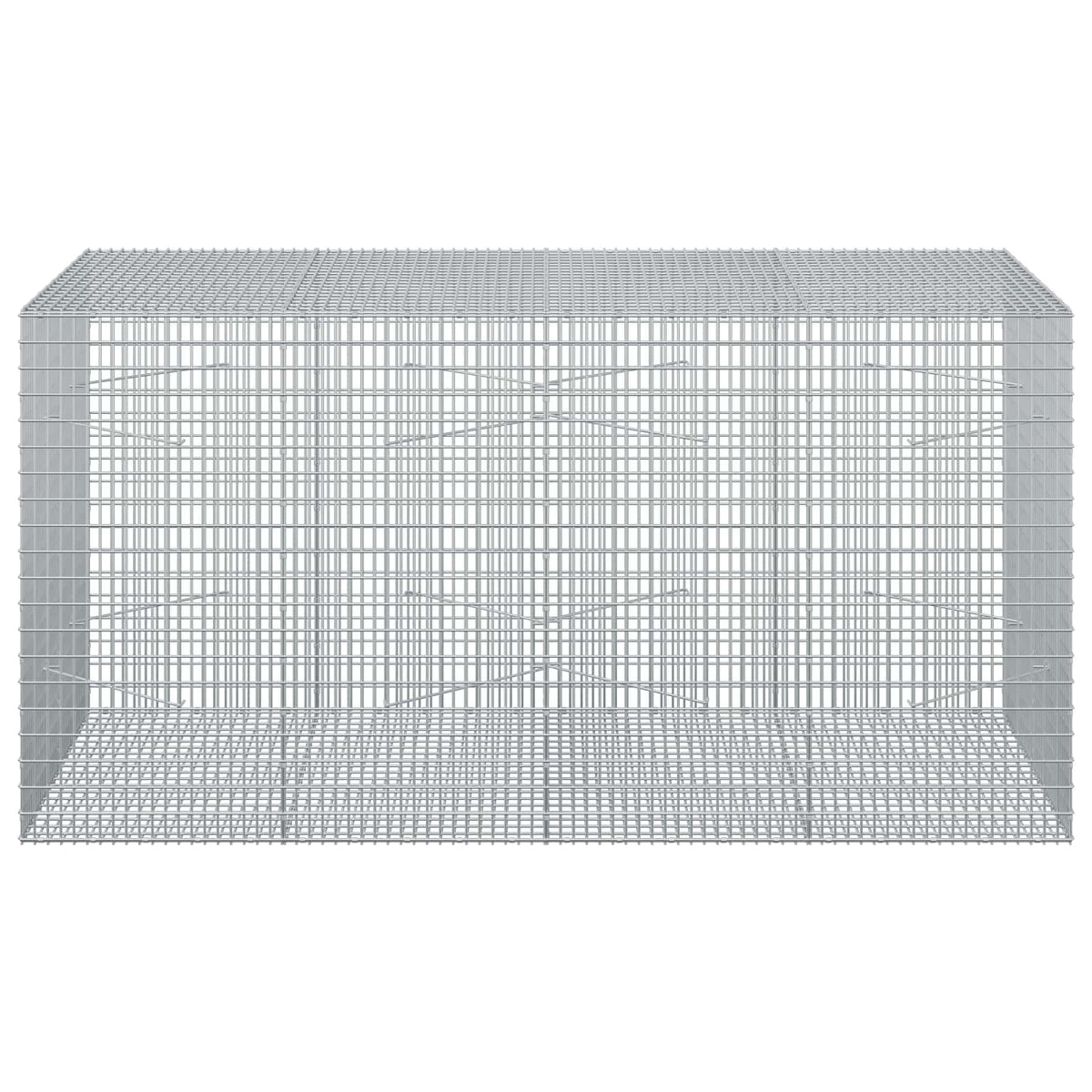 Gabion with 3.5 mm Wire and 5x2.5 cm Mesh 200x100x100 cm