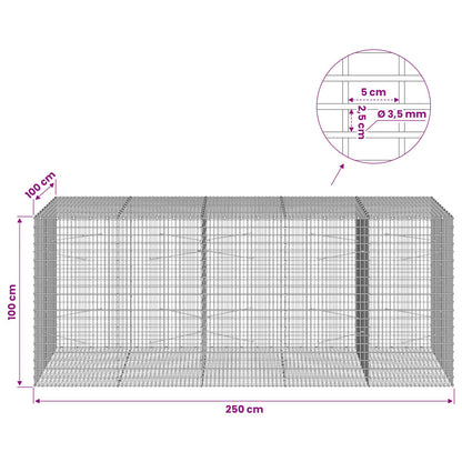 Gabion with 3.5 mm Wire and 5x2.5 cm Mesh 250x100x100 cm
