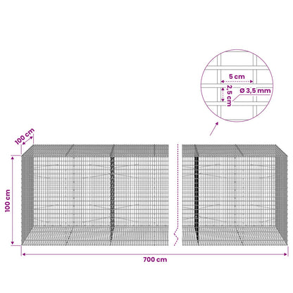 Gabion with 3.5 mm Wire and 5x2.5 cm Mesh 700x100x100 cm