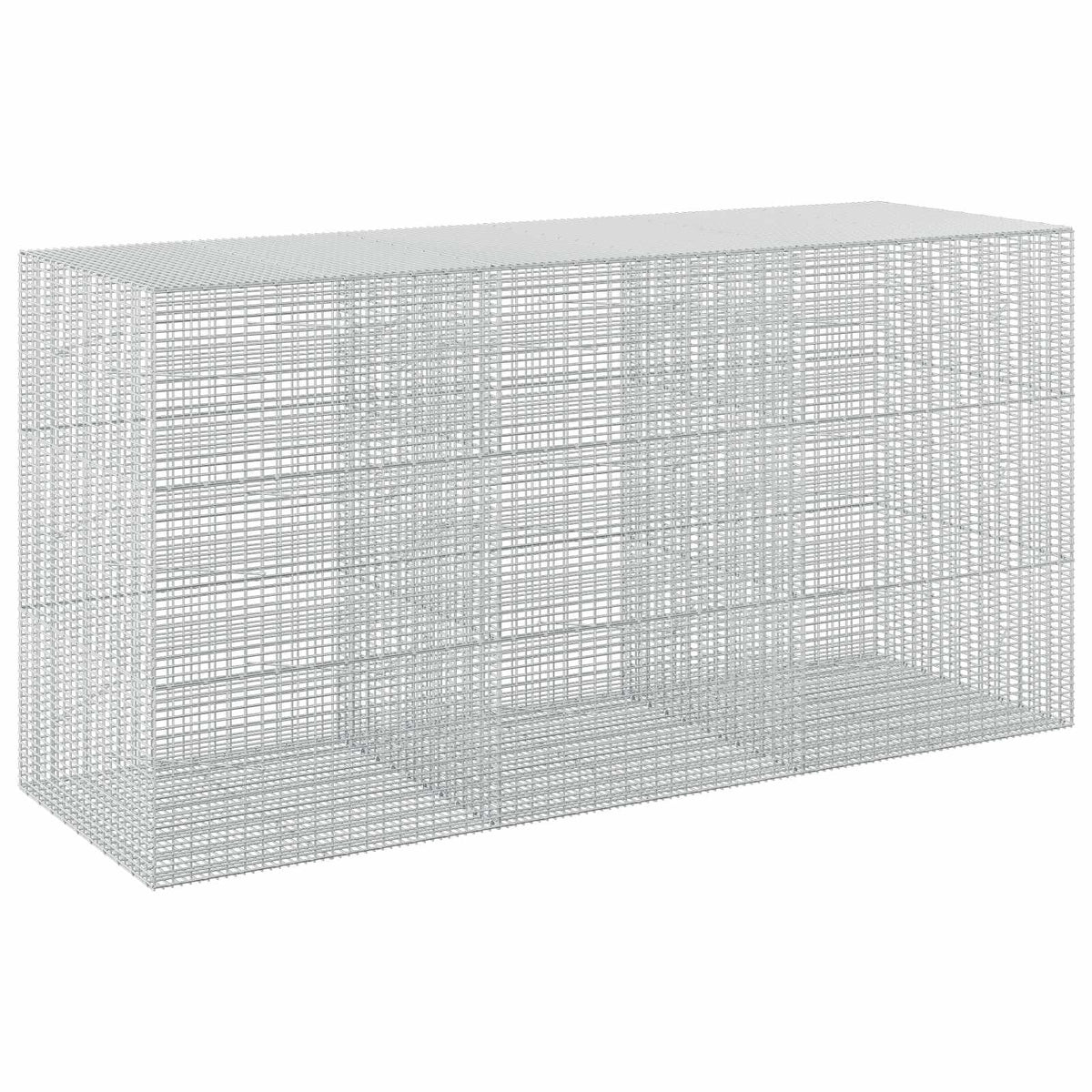 Gabion with 3.5 mm Wire and 5x2.5 cm Mesh 300x100x150 cm