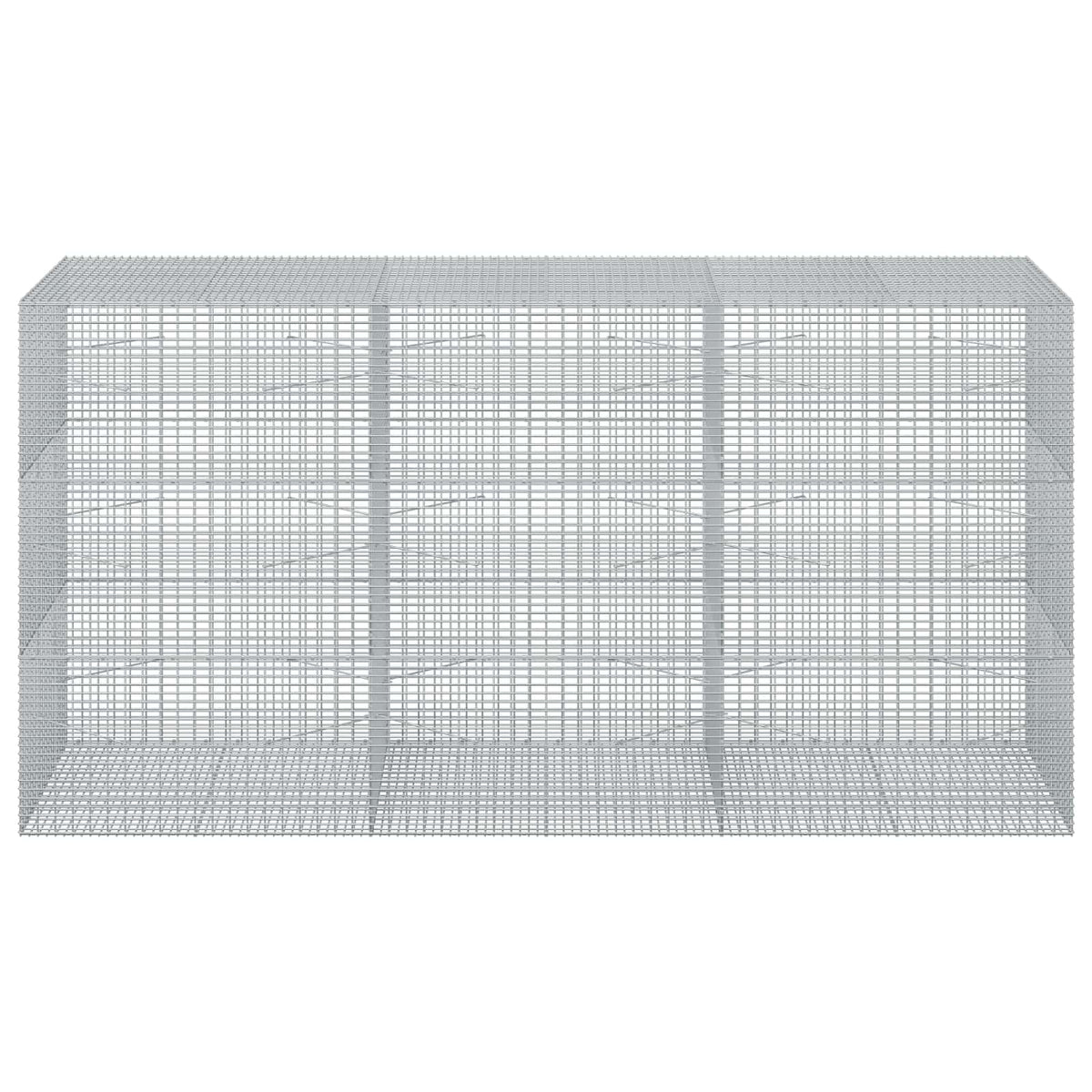 Gabion with 3.5 mm Wire and 5x2.5 cm Mesh 300x100x150 cm