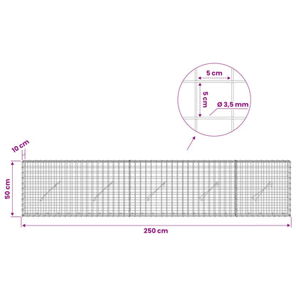 Gabion with 3.5 mm Wire and 5x5 cm Mesh 250x10x50 cm