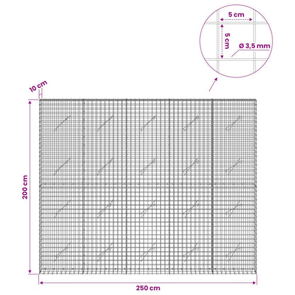Gabion with 3.5 mm Wire and 5x5 cm Mesh 250x10x200 cm