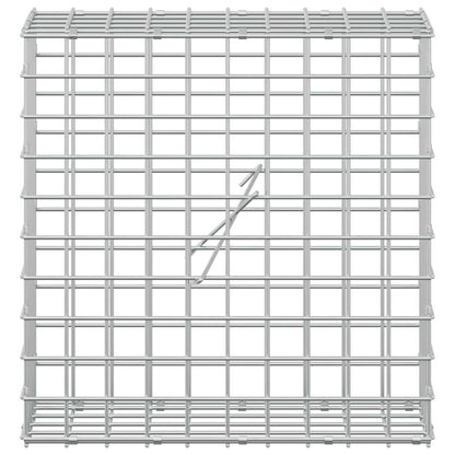 Gabion with 3.5 mm Wire and 5x5 cm Mesh 50x20x50 cm
